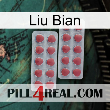 Liu Bian 19